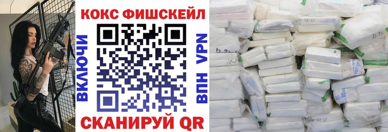 COCAIN Fish Scale  Купить где  Никольское 
