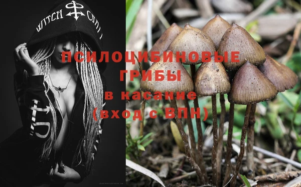 ECSTASY Волосово
