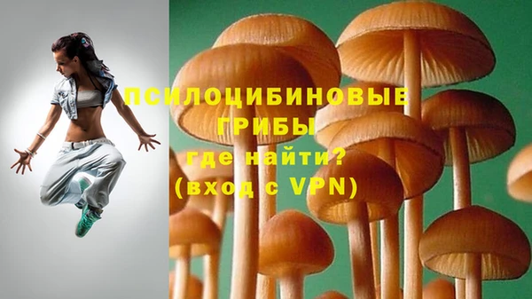 прущие грибы Верхнеуральск