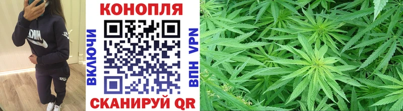 Купить где  Никольское  Каннабис конопля 